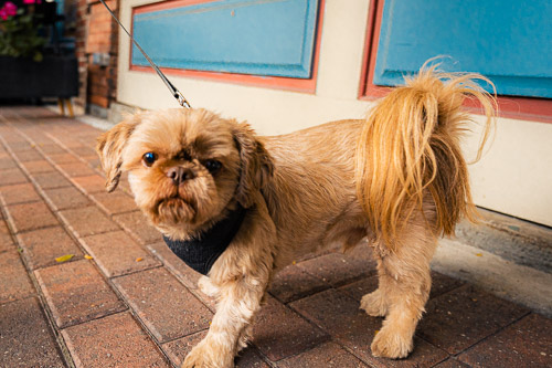 Watkins Glen, NY - Apr 2024